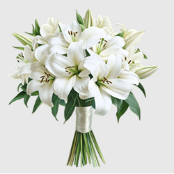 White Orchid