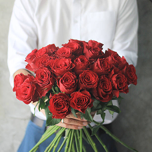 Classic Red Roses